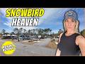 The PERFECT Florida RV Resort for Winter Escapes!