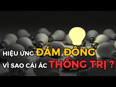 Video: Hiệu ứng đám đông là gì?