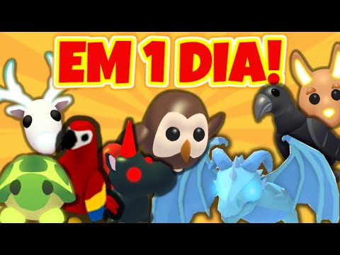 Vídeo: O que fazer com cães que comem cocô