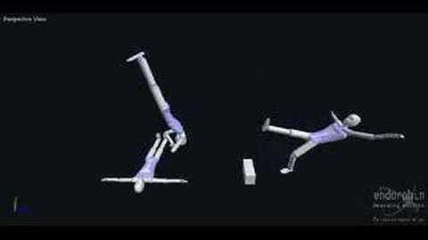 Endorphin Dropsault and Moonsault