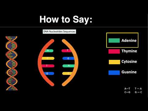 Video: Ano ang cytosine at thymine?