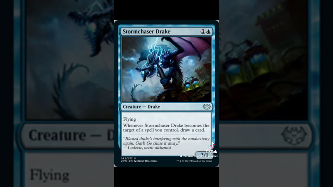 Top Favorite Budget cards for Commander from Crimson Vow part 5: Stromchaser Drake!