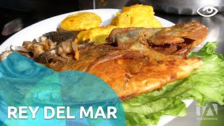 El pescado: rey del mar - Día a Día - Teleamazonas