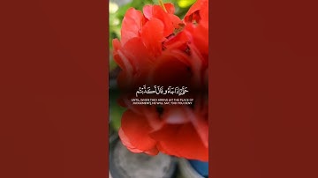 عبد الرحمن مسعد | من سورة النمل