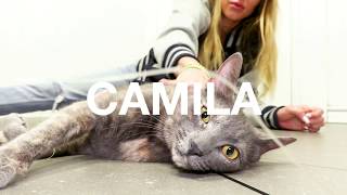 Adopt Camila at NKLA