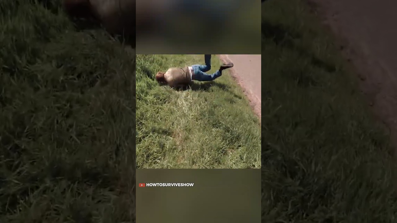 This cockpit spins to save lives