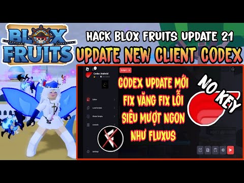 Cách Hack Blox Fruits Trên Điện Thoại Update Client CodeX Mới Nhất Fix Văng Fix Lỗi Siêu Mượt No Key