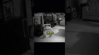 Creepy Dolls Move On Their Own Caught On Camera