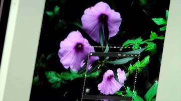 Adobe Photoshop CC: Camera Shake Reduction link in description  Photoshop Lightroom for US $9.99/mo