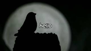 wonderland lyrics - gard wuzgut