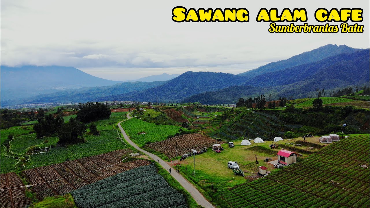 SAWANG ALAM CAFE TERBARU BRAKSENG SUMBERBRANTAS BATU 2023