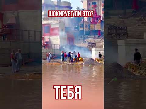 Шокирует ли тебя этот факт? #new #shrots #india #индия