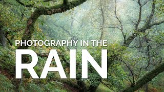 Photography in the Rain  - Why I love it
