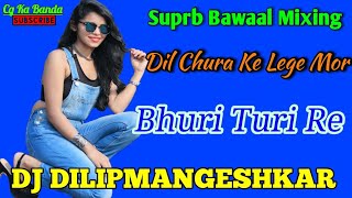Cg Dj Song | Dil Chura Ke Lege Mor Bhuri Turi Re Dj Song | Dj Dilip Mangeshkar
