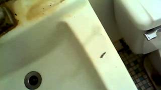 VID 20150730 123446