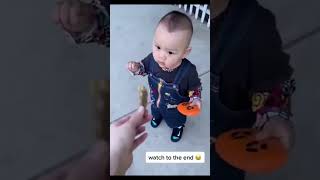 Lustige Tiere Ein Video Zum Lachen Und Staunen 2