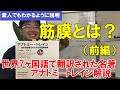 筋膜とは？前編【名著アナトミートレイン解説】