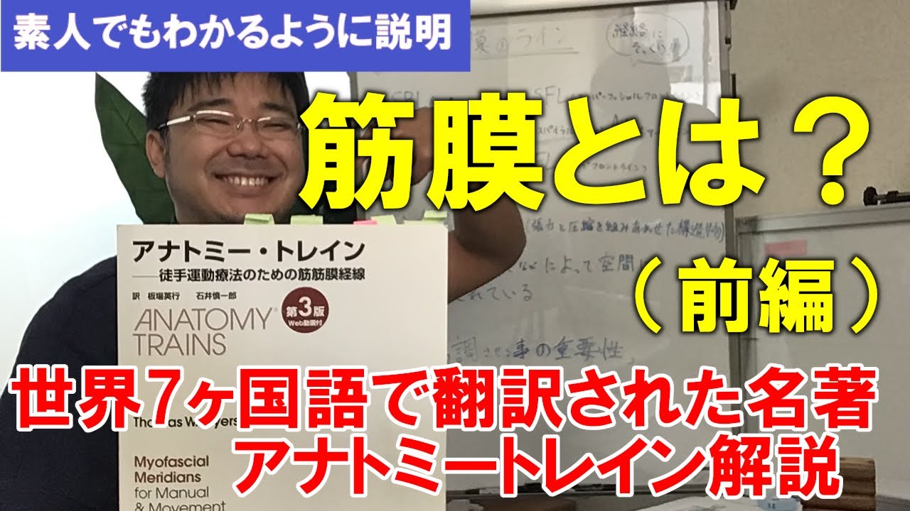 筋膜とは？前編【名著アナトミートレイン解説】