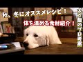 犬ご飯手作りレシピ|秋にぴったり肉とゴボウの味噌炒めの作り方【グレートピレニーズ】