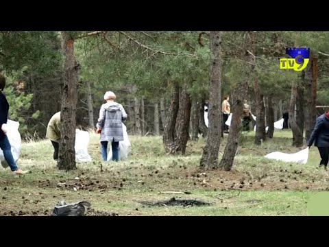 ახალციხეში, რაბათის ხელოვნური ტყის ტერიტორია დაასუფთავეს