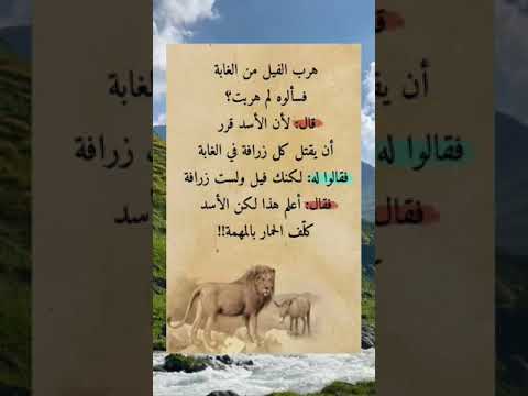 هرب في من الغابة فسألوه لم تهرب حالات واتس خواطر عبارات   ستوريات علم النفس حكمة اليوم