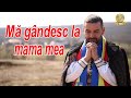 Ionut Langa - Stau adeseori pe ganduri si privesc ( priceasna )