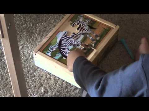 Tristan on Zebra puzzle