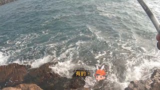 四季灣 釣況分享 Wild fishing in Taiwan. [嘟嘟釣魚狂#249] 2024/03/04, 03/13