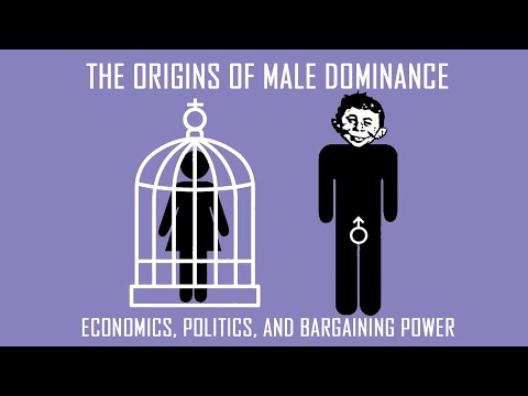 7. The Origins of Male Dominance and Hierarchy;  what David Graeber and Jordan Peterson get wrong