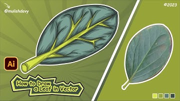 How to draw a realistic Leaf in Adobe Illustrator CC