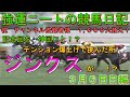 強運ニートの競馬日記#44、３月６日㈰編