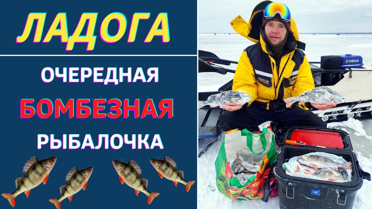 Поклевка Магазин Для Рыболовов