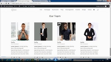 how to add team section on WordPress theme divi