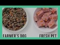Freshpet dog food review are there better options