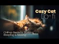 Cozy Cat Lo-fi – Chillhop Beats for Studying, Sleeping & Relaxing 🐾☀️