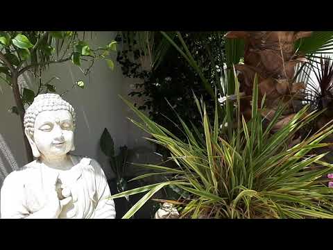 ASMR FRANÇAIS ROOM TOUR ☀️ dans mon jardin ☀️ l'été SOFT SPOKEN