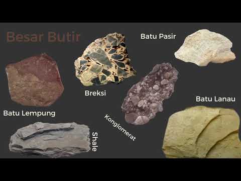 Video: Jenis batuan sedimen apakah batulanau?