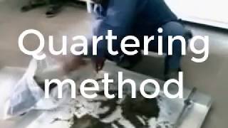 How to reduce the sample size by quartering method for sieve analysis