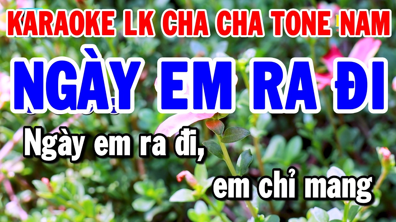 Karaoke Liên Khúc Tone Nam Cha Cha Dễ Hát Nhất | Ngày Em Ra Đi - Vó Ngựa Trên Đồi Cỏ Non | Thanh Hải