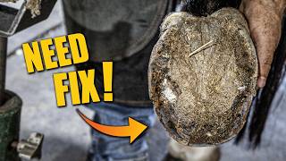 Muddy Hoof Deep Clean | FARRIER ASMR