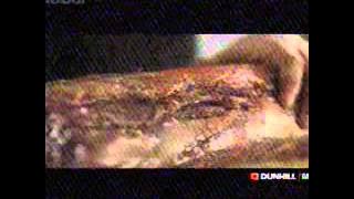 Download lagu Globaltv Dunhill Mild 23 01 (13/03)