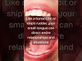 Social Carousel - Our Tongues
