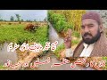 صبح بخیر پنجابی لائیو سٹریم good morning punjabi live stream