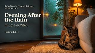 Evening After the Rain | Rainy Day Cat Lounge: Relaxing Music for Cats | Calming Pet Music