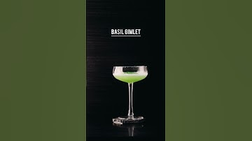 BASIL GIMLET COCKTAIL RECIPE