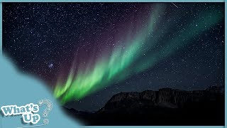 The Northern Lights: Mystical Phenomena of the Arctic Circle