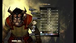 Guild Wars 2 Charr Warrior Character Creation