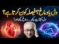 Heart vs Brain — Who Really Controls Your Decisions? | The Science Behind Emotions &amp; Logic