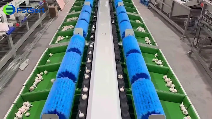 Garlic weight sorting grading line onion grader sorter machine vegetable processing equipment