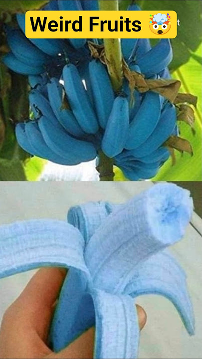 Buah-Buahan Aneh yang Ditemukan di Dunia #shorts #weirdfruits #ashortaday #trending #viral